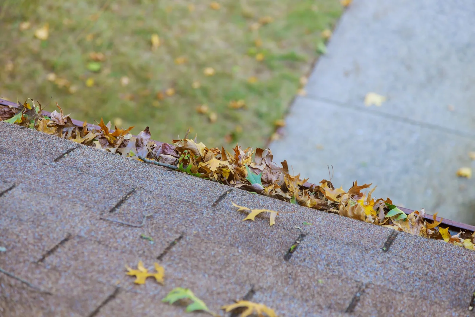 Autumn leaves clogging a residential roof gutter